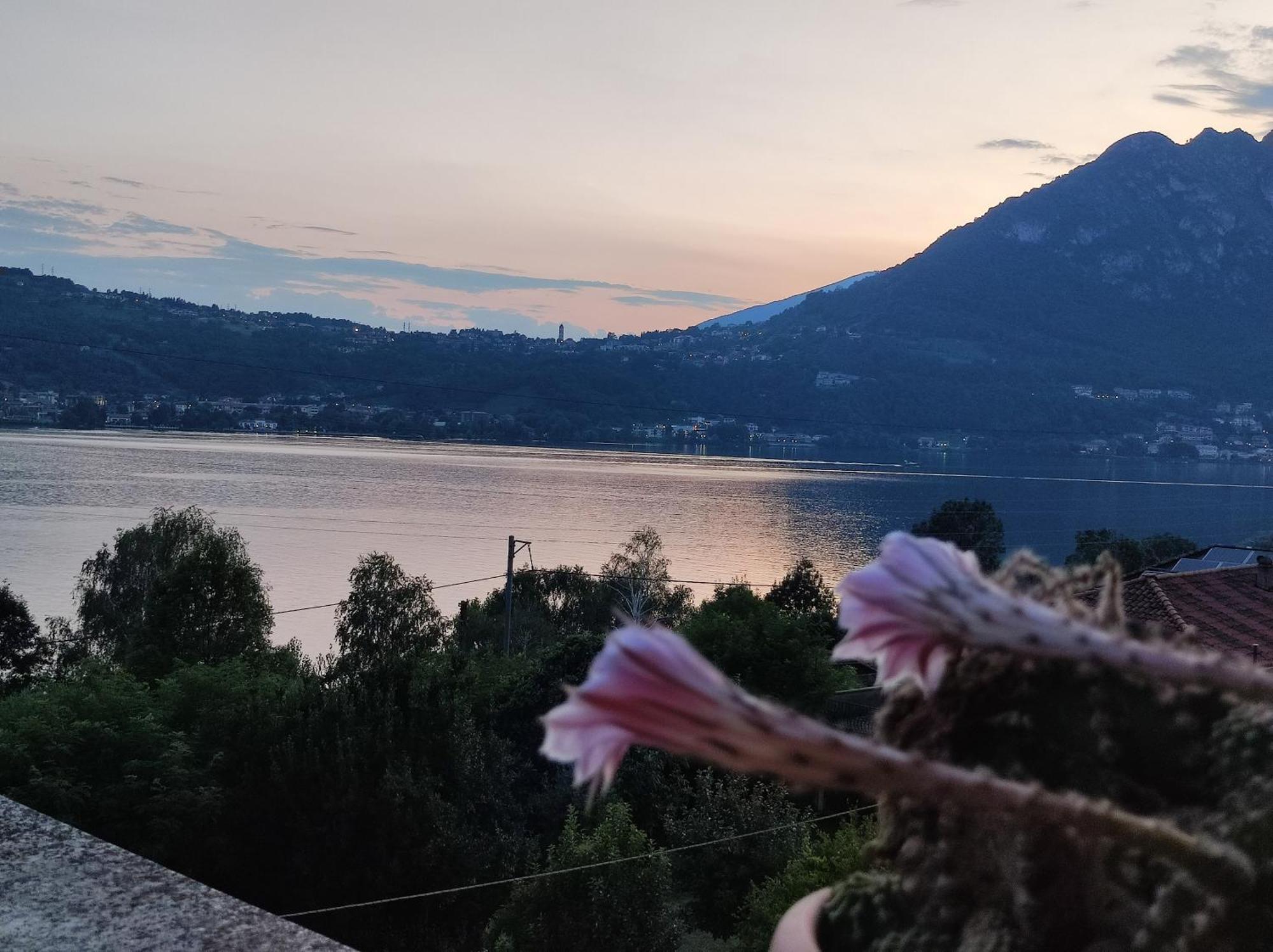 Terrazzo Sul Lago Lecco Dış mekan fotoğraf