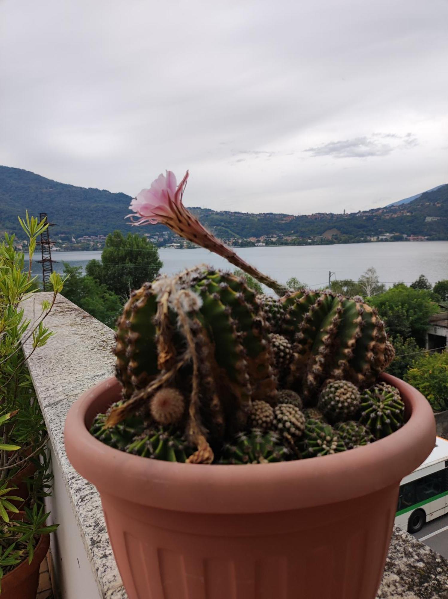 Terrazzo Sul Lago Lecco Dış mekan fotoğraf